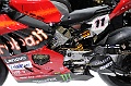 _ROB2167 (Copy)